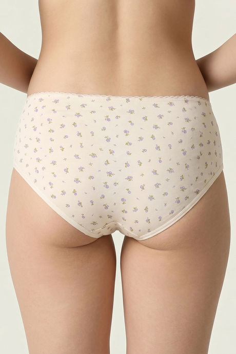 Zivame Regular Rise Full Coverage Hipster Panty (Pack of 3) - Multicolor — image 3